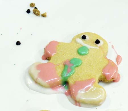 Cookies 2007 - 19